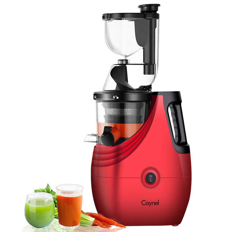 Caynel Slow Masticating & Cold Press Juicer & Reviews | Wayfair